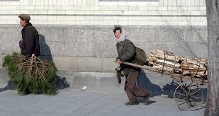 Sin leñas suficientes