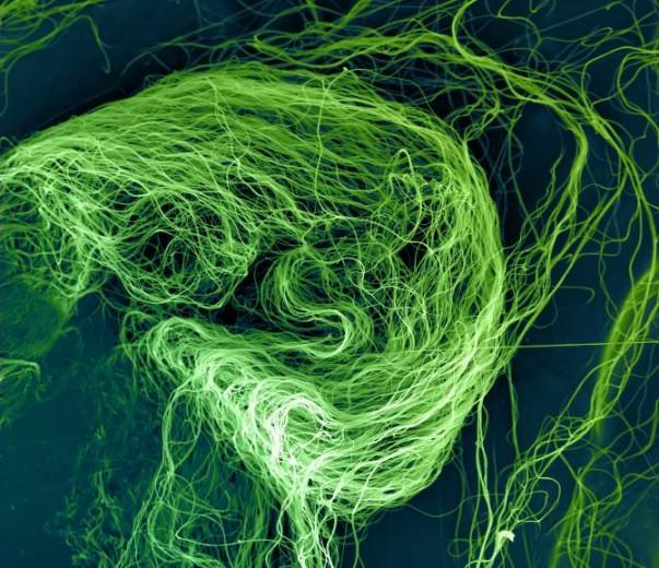 La ciencia Aplicada a las NanoFibras