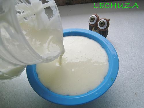 MOUSSE QUESO FRESCO Y KIWI (22)