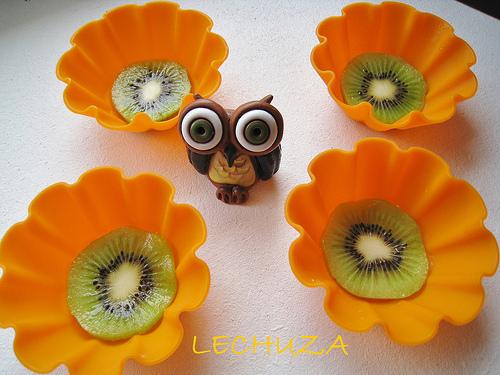 MOUSSE QUESO FRESCO Y KIWI (15)