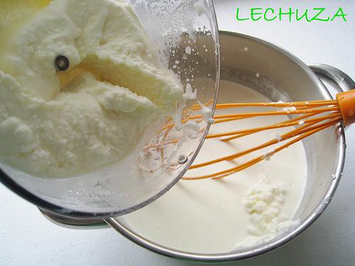 MOUSSE QUESO FRESCO Y KIWI (19)