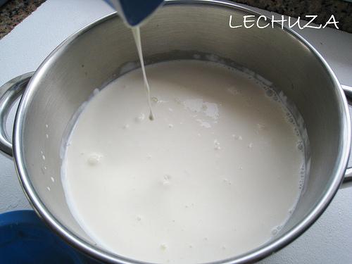 MOUSSE QUESO FRESCO Y KIWI (10)