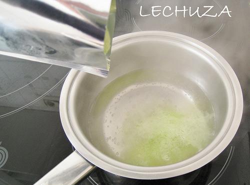 MOUSSE QUESO FRESCO Y KIWI (11)