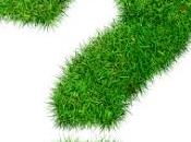 preguntas actual pair