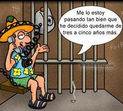 champiñones rellenos, recetas originales, champiñones, recetas de cocina, guacamole, tomate, queso, recetas caseras, tapas, curiosidades, humor