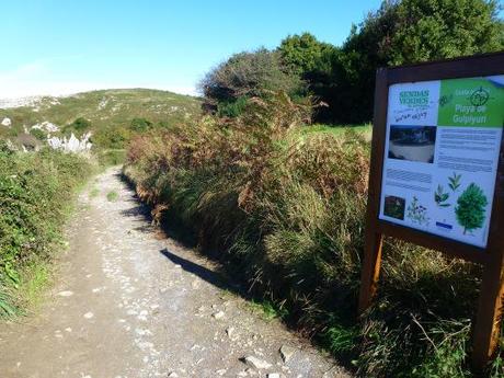 Bufones de Pría, Guadamía, Gulpiyuri y San Antolín : Cuanta belleza P1050005