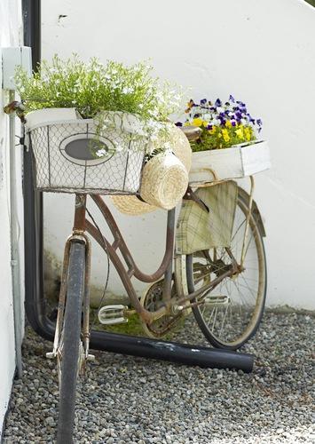 Frescura de primavera