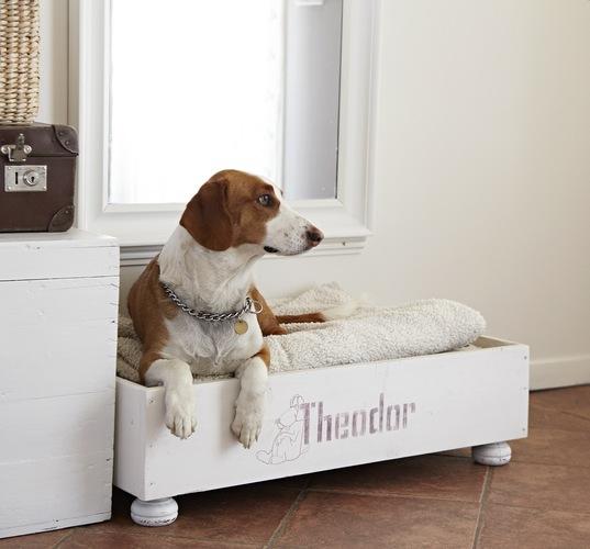 Frescura de primavera