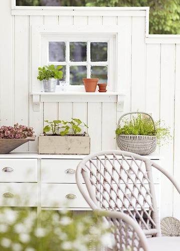 Frescura de primavera