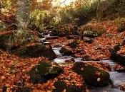 turismo como revulsivo