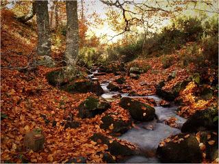 El turismo como revulsivo