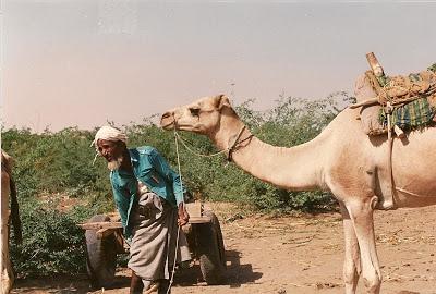 Mercados del mundo: Bayt al-Faqih, Kaolack y Takayama