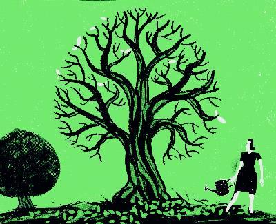 TRATAMIENTO TRADICIONAL DEL CÁNCER: UN CALLEJÓN SIN SALIDA