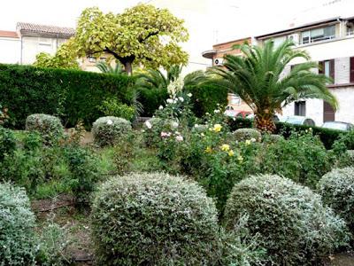 Los árboles en las ciudades son esenciales