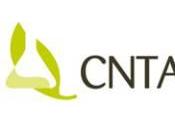 CNTA recibe autorización oficial para impartir BPCS
