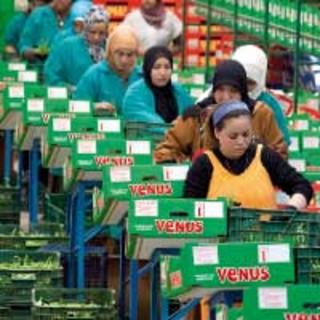 Marruecos intenta equilibrar su balanza de comercio exterior