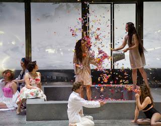 Dicha de Amor es la música Dicha de Amor es la música