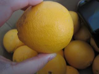 NARANJAS AROMA DEL GUADALQUIVIR