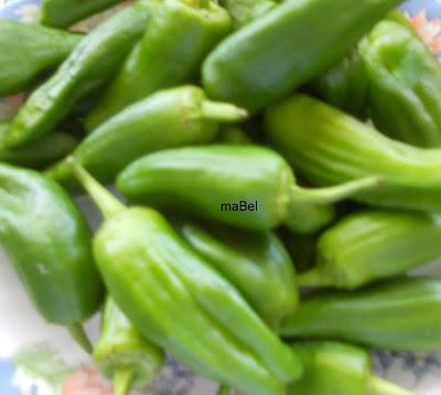 Pimientos de Padron fritos