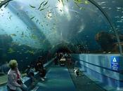 tiene mucho enseñarnos