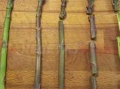 Cómo cocinar espárragos verdes