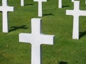 ¡adiós soja querida!