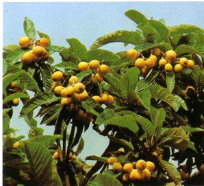 Una ausencia que aflora con la emotividad