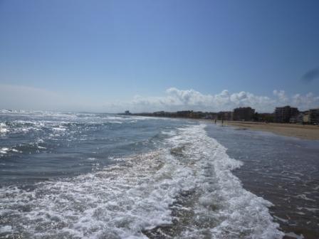 MERCAT DEL MAR I RUTA GASTRONOMICA CALAFELL