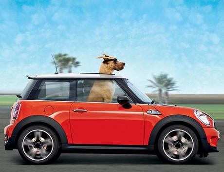 Estrenos de la Semana -19-10-2009 – Diez nuevos títulos se estrenaron ayer viernes Estrenos de la Semana -19-10-2009 – Diez nuevos títulos se estrenaron ayer viernes