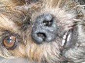 Billy, años está borde muerte vida. ayuda puede decantar balanza