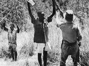 "Los Británicos nunca hacen nada bien común"