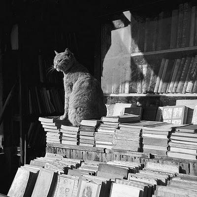 catala+roca_2_sarah+abilleira