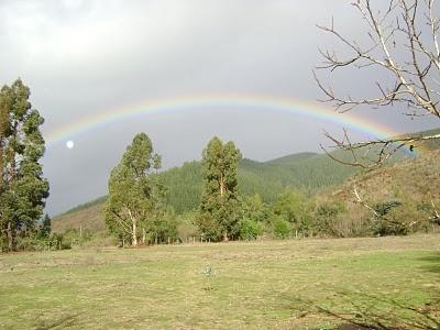 Requiem por mi tierra