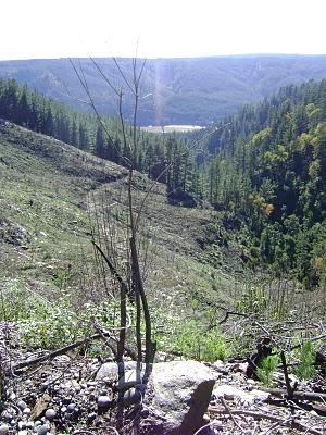 Requiem por mi tierra