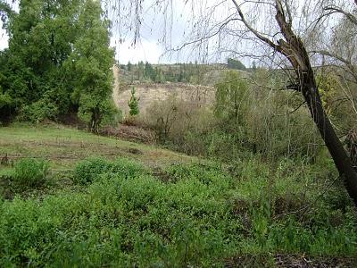 Requiem por mi tierra