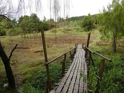 Requiem por mi tierra