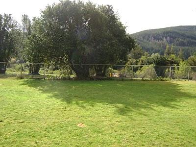 Requiem por mi tierra