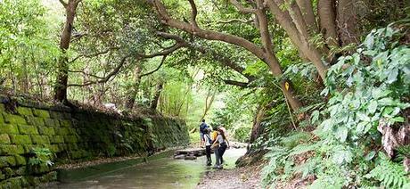 Montañismo en Zushi