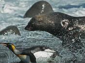 Cómo hacen documentales