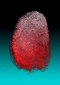 Domingos sangrientos