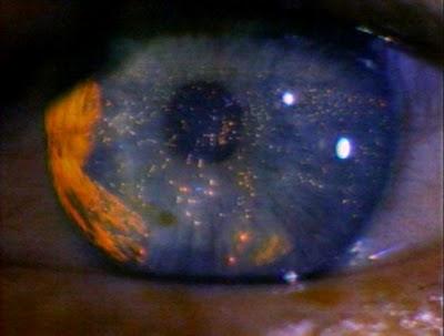 ¿Y si yo también fuera una feroz radical?