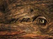 'Arte Intruso' exposición Rossella Fava