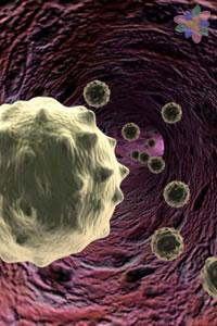 Detecta la leucemia a tiempo