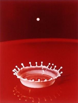 PHOTOESPAÑA 2010: Harold Edgerton, el fotógrafo que consiguió detener el tiempo