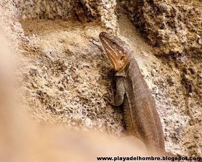 ELIGE  UN  GRAN  DESTINO