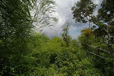 Parque Nacional El Imposible