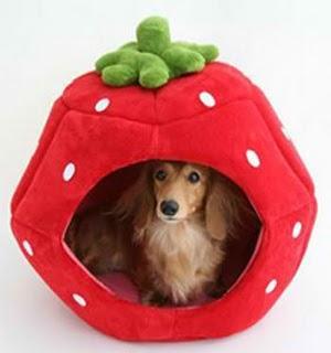 Cama de fresa para mascotas