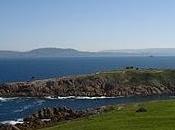 Marineda primavera