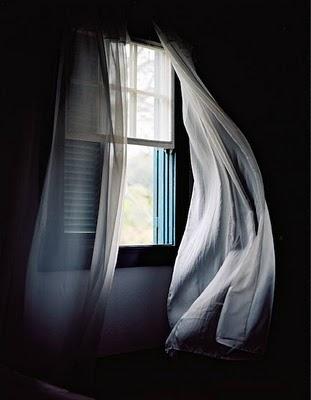 Paul Barbera: de la luz a las sombras