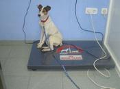 Urgente!!! casa acogida Sevilla, vida peligro